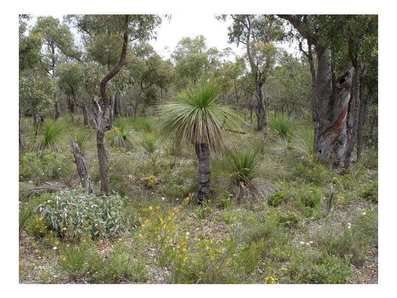 25 Pipe Lily Way, Lower Chittering WA 6084