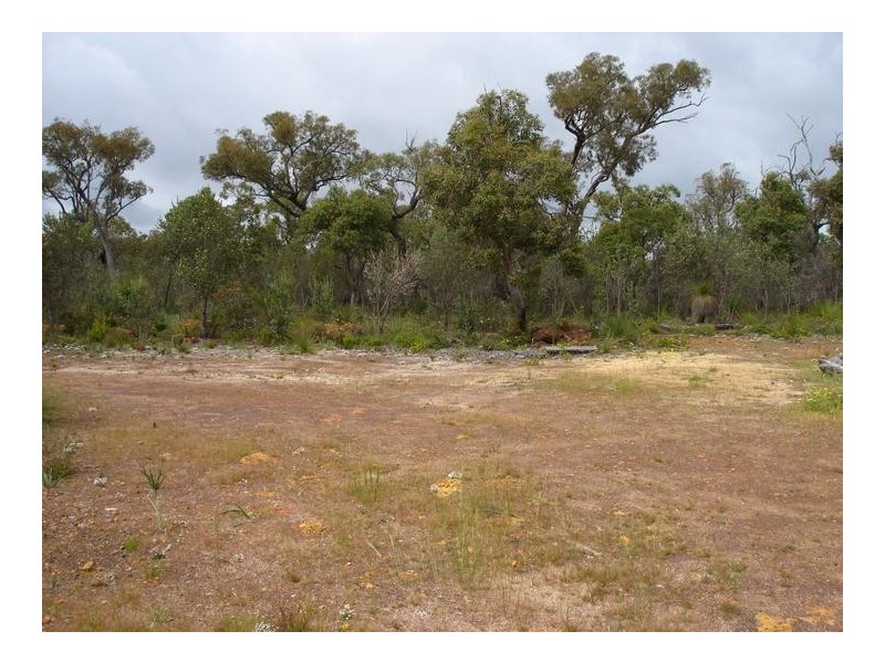 25 Pipe Lily Way, Lower Chittering WA 6084