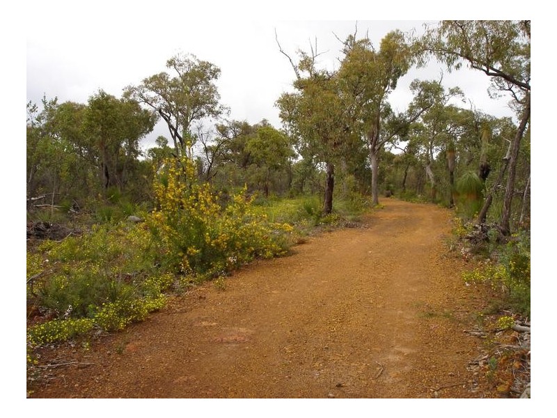 25 Pipe Lily Way, Lower Chittering WA 6084
