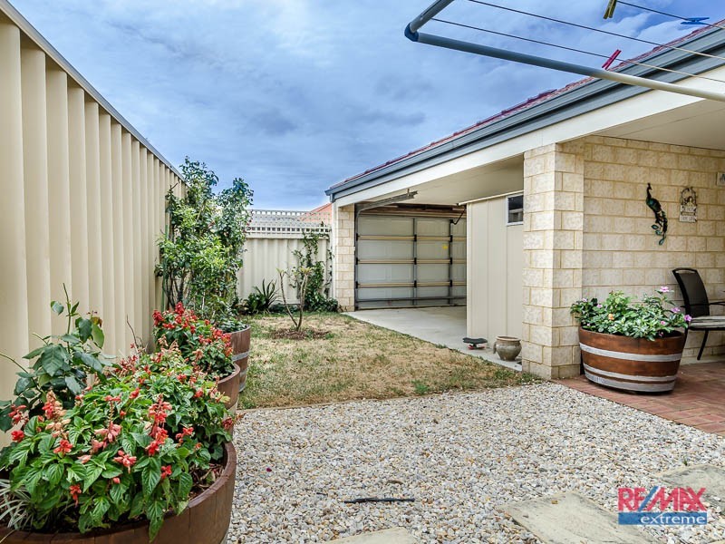 49 Tollesbury Avenue, Butler WA 6036