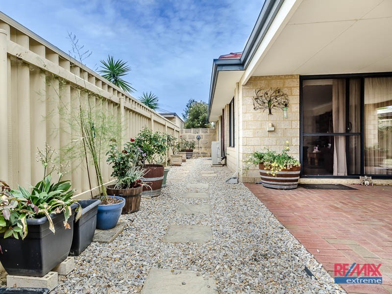 49 Tollesbury Avenue, Butler WA 6036