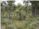 25 Pipe Lily Way, Lower Chittering WA 6084