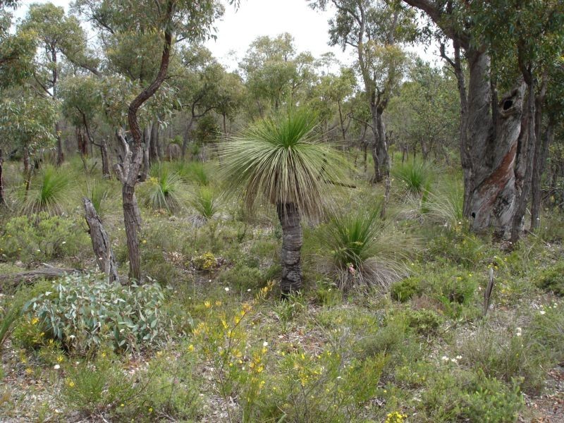 25 Pipe Lily Way, Lower Chittering WA 6084