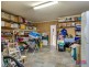 7 Warnford Street, Butler WA 6036
