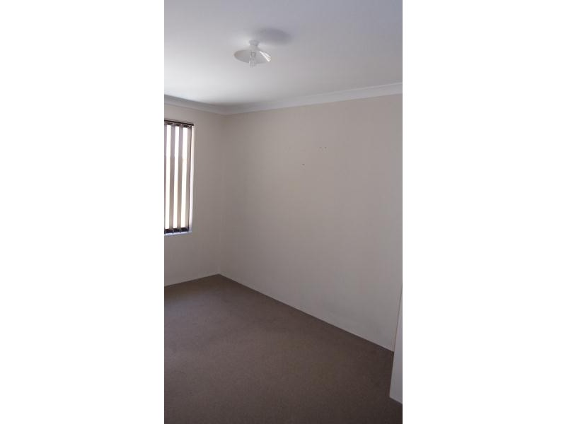 97 Rosegreen Ave, Butler WA 6036