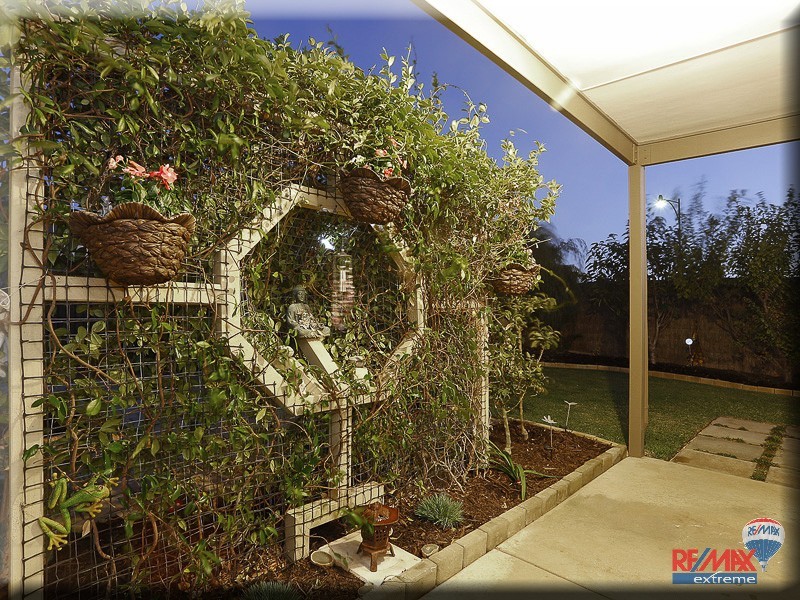 11 Rosegreen Avenue, Butler WA 6036