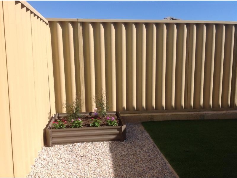 34 Mansfield Avenue, Butler WA 6036