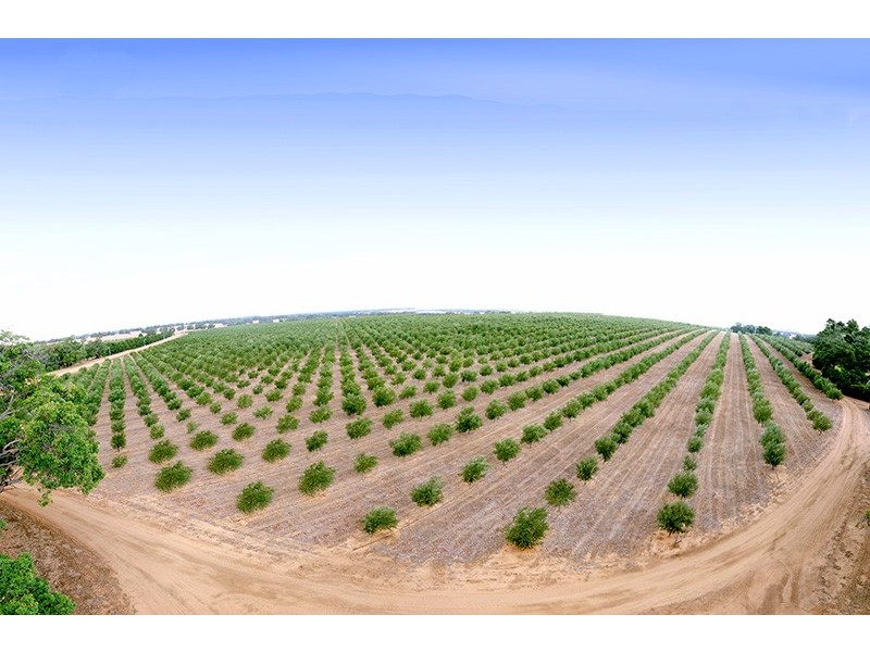 69 Hancock Place, Gingin WA 6503