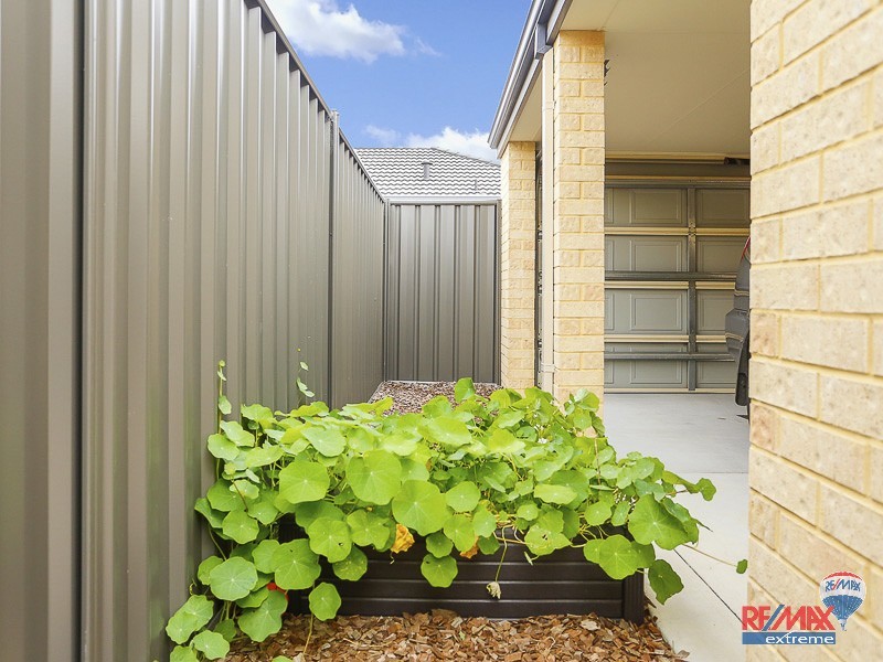 30 Sawtooth Bend, Banksia Grove WA 6031