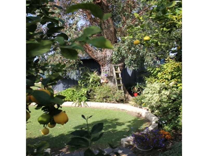 42 Axbridge Street, Karrinyup WA 6018