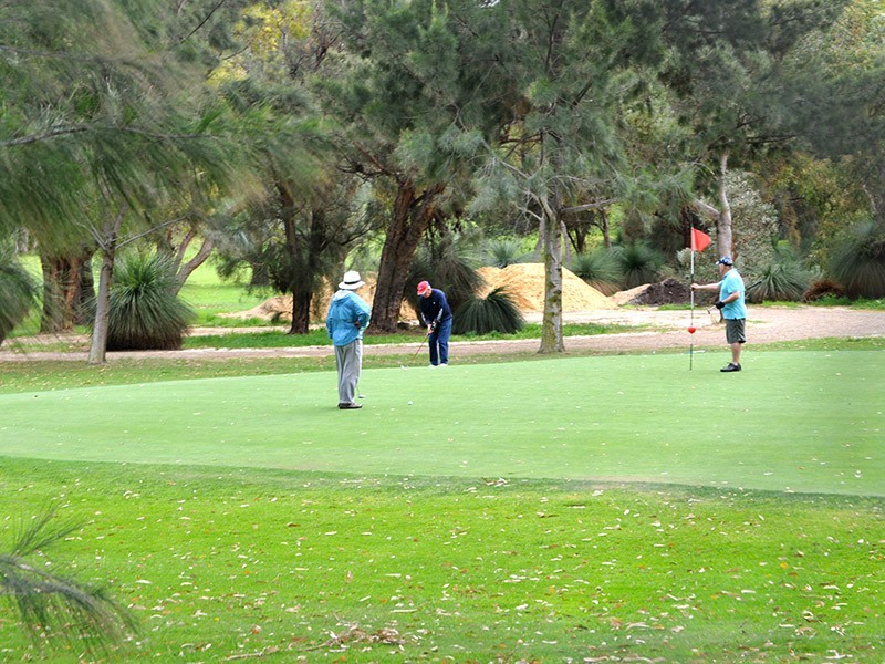 42 Axbridge Street, Karrinyup WA 6018