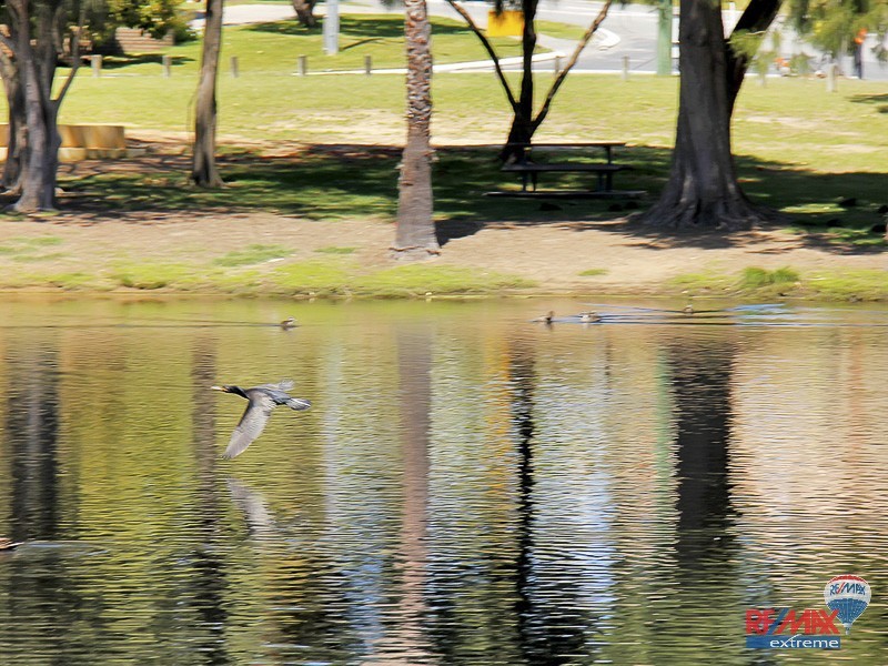 36 Beenong Street, Wanneroo WA 6065