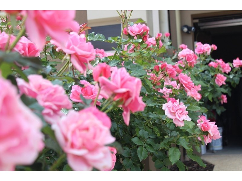 12 Balikpapan Avenue, Dianella WA 6059