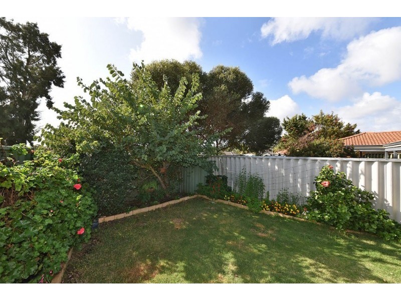 44 Mint Circuit, Banksia Grove WA 6031