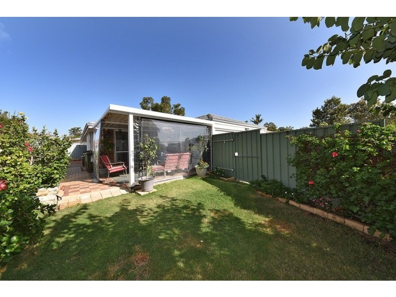 44 Mint Circuit, Banksia Grove WA 6031