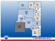 67 Shepperton Drive, Butler WA 6036