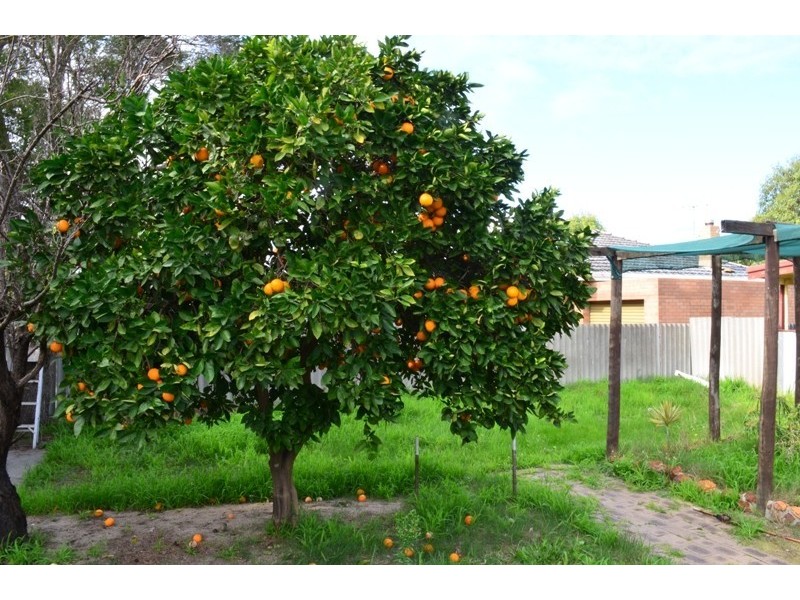 26 Gosnells Road West, Maddington WA 6109