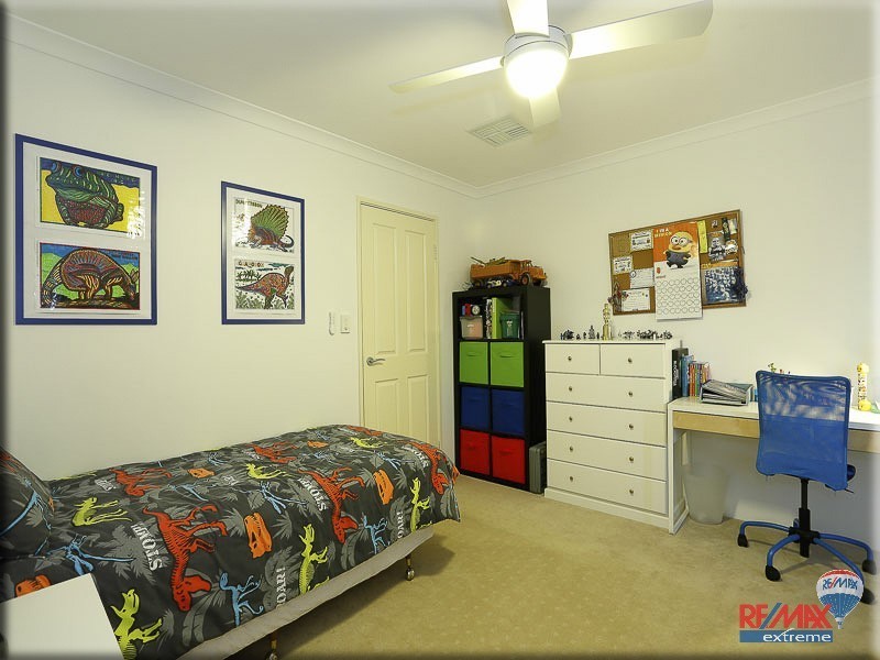 16 Ammanford Crescent, Butler WA 6036