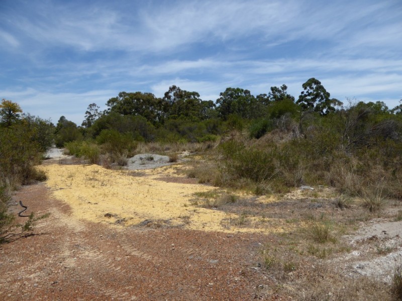 416 Rowley Road, Wandi WA 6167