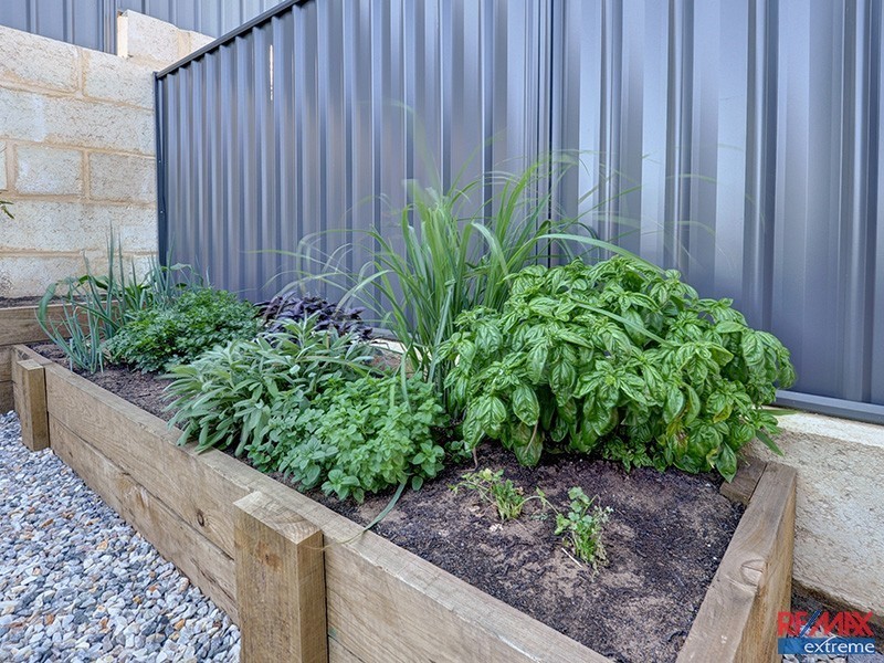 22 Chucklebud Street, Banksia Grove WA 6031