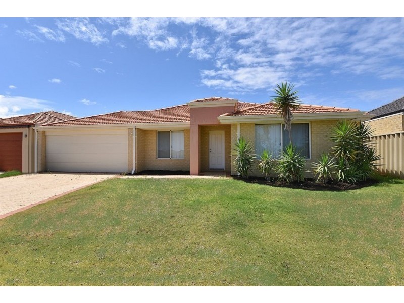 34 Ammanford Crescent, Butler WA 6036