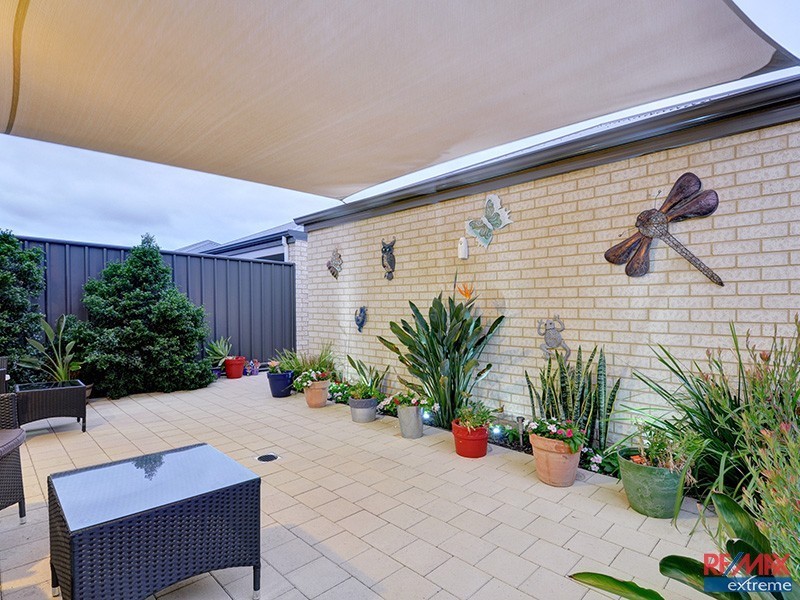 12 Conferta Link, Banksia Grove WA 6031