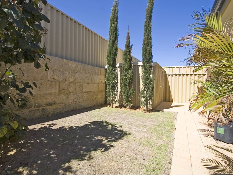42 Ammanford Crescent, Butler WA 6036