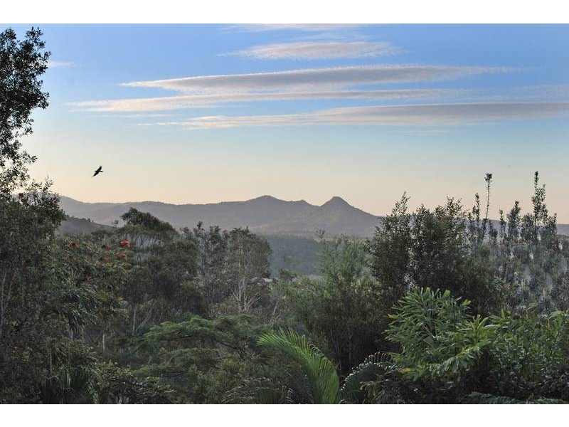 600 Coolamon Scenic Drive, Coorabell NSW 2479