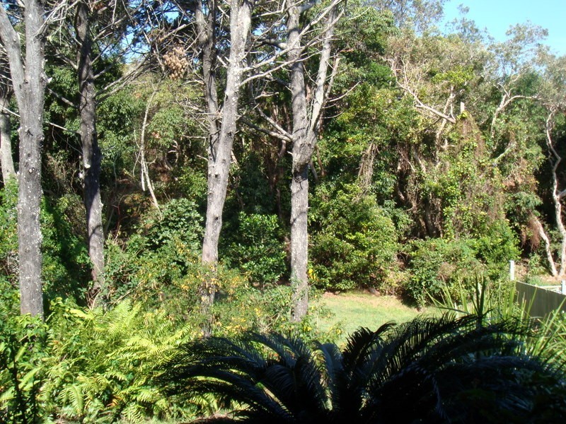 120 Lighthouse Road, Byron Bay NSW 2481