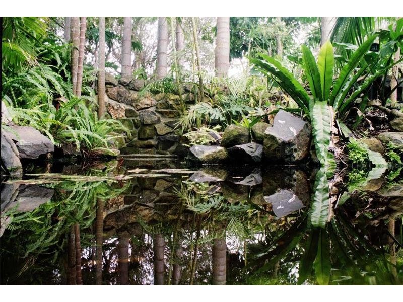 24 Cavanbah Street, Byron Bay NSW 2481