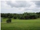 289 Kennedys Lane, Byron Bay NSW 2481