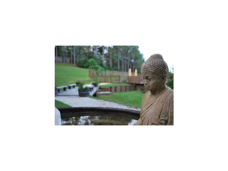 217 Skinners Shoot Road, Byron Bay NSW 2481