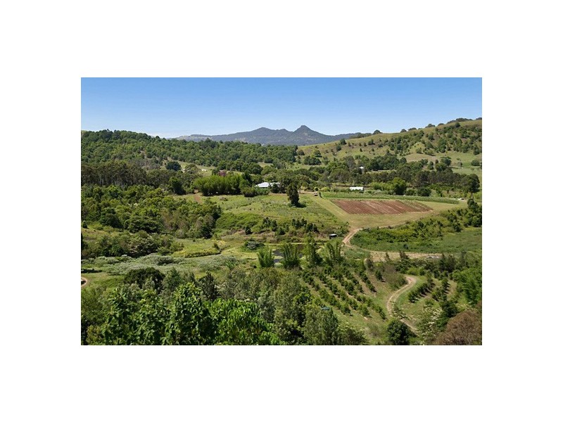 629 Myocum Road, Myocum NSW 2481