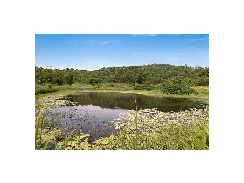 629 Myocum Road, Myocum NSW 2481