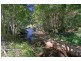 297 Left Bank Road, Mullumbimby NSW 2482