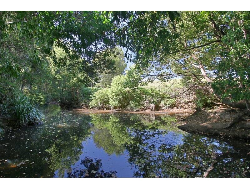 297 Left Bank Road, Mullumbimby NSW 2482