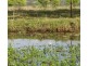 568 Myocum Road, Myocum NSW 2481