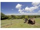 45 Old Byron Bay Road, Byron Bay NSW 2481