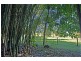 221 Kennedys Lane, Tyagarah NSW 2481