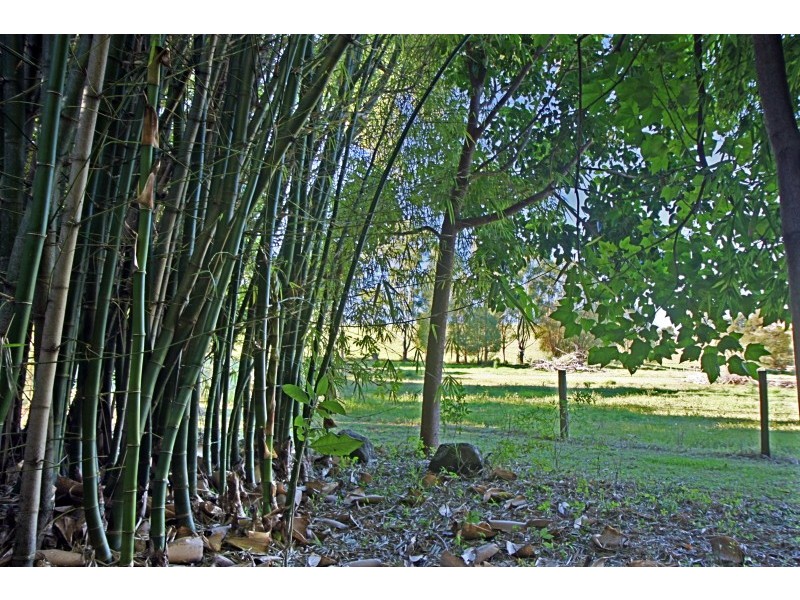 221 Kennedys Lane, Tyagarah NSW 2481