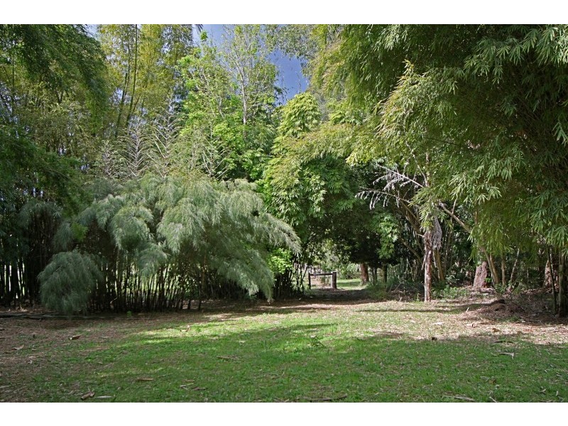 221 Kennedys Lane, Tyagarah NSW 2481