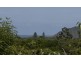 37 Redgum Place, Byron Bay NSW 2481