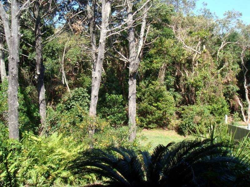 120 Lighthouse Road, Byron Bay NSW 2481