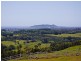 293 Myocum Road, Byron Bay NSW 2481
