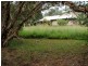 103 Paterson Street, Byron Bay NSW 2481
