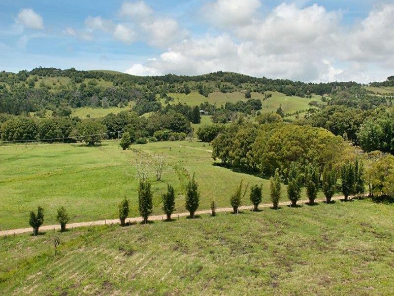 286 Skinners Shoot Road, Skinners Shoot NSW 2481