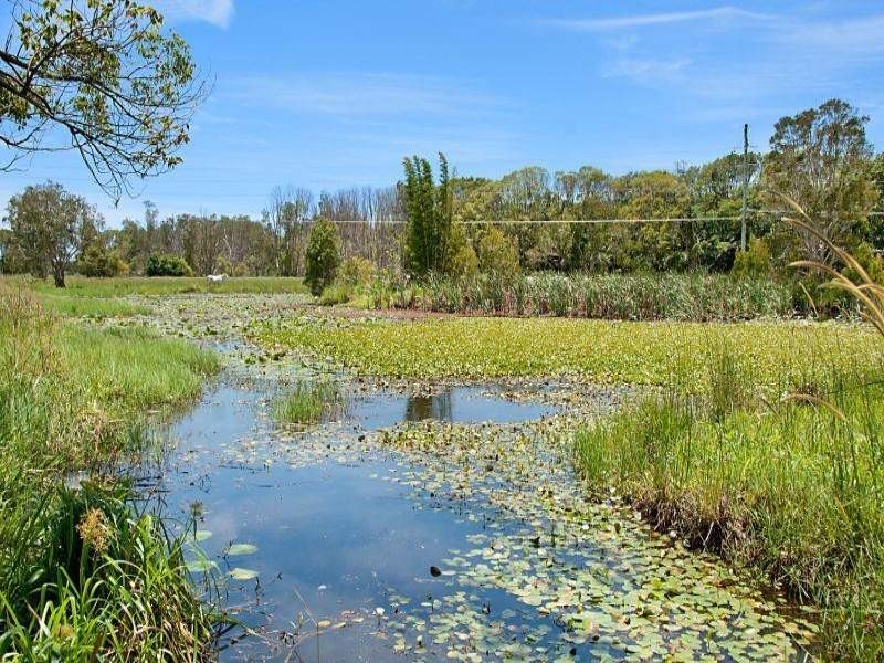 286 Skinners Shoot Road, Skinners Shoot NSW 2481