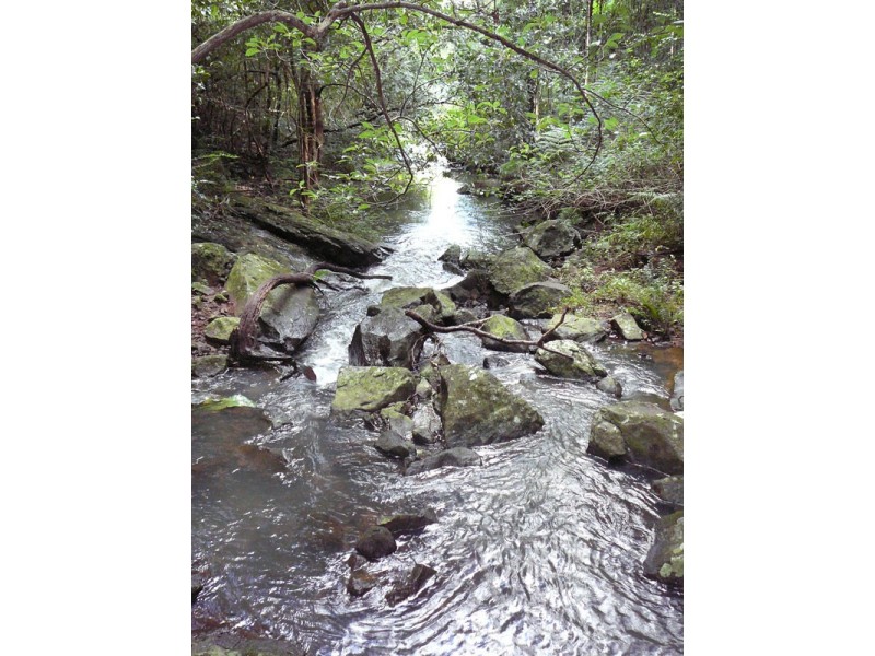 305 Coolamon Scenic Drive, Coorabell NSW 2479