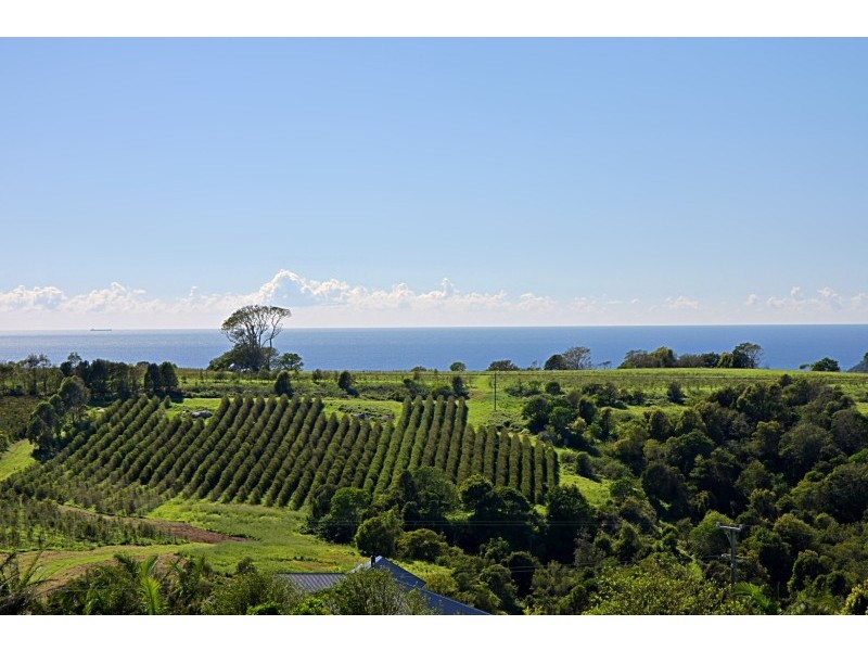 187 Coopers Shoot Road, Byron Bay NSW 2481