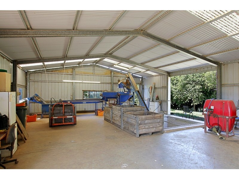 412 Repentance Creek Road, Repentance Creek NSW 2480